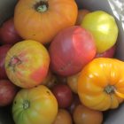 How to can tomatoes:  Lucille's method