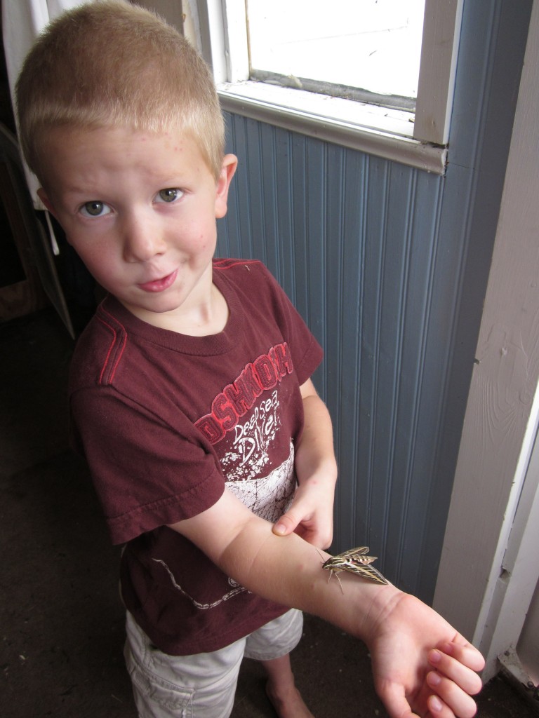 Little Mack with a beautiful moth he was studying.  He is very good at nature study (wink!).