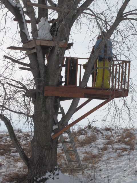 Here is the finished tree house, which is even getting use during the winter!  The snowman is the only one brave enough to get up into the "Eagle's Nest."