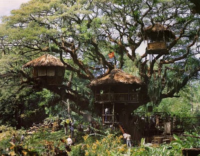 Here is THE treehouse to beat them all:  that of the Swiss Family Robinson.