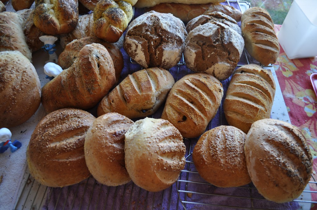 All these breads and more can be made with the "bucket dough" method!