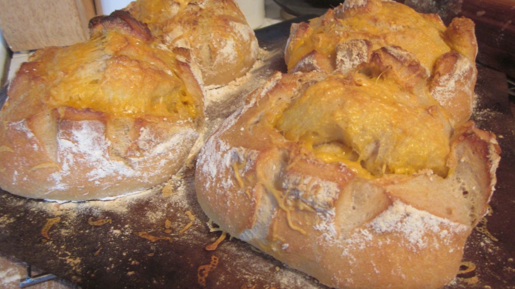 Here's my batch of cheddar cheese bread, fresh and hot out of the oven!