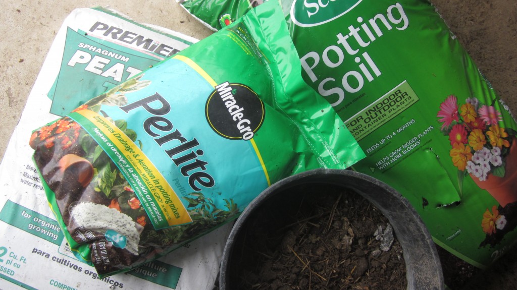 Here are the raw ingredients for my seed-starting mix: peat moss, potting soil, perlite, and well-aged manure or compost (in the bucket).