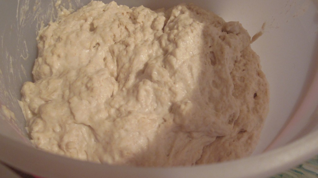 Here's my dough, freshly mixed and beginning to rise.