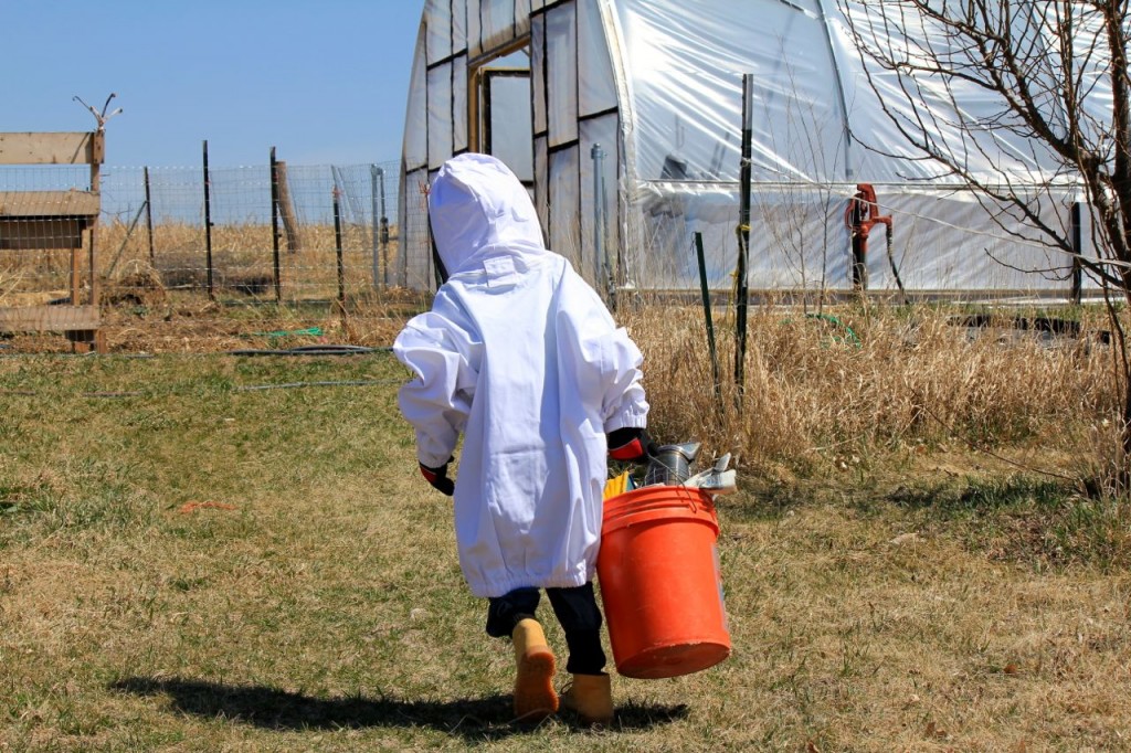 Little Mack has been interested in beekeeping ever since Bryan bought a second bee jacket for him to use. It's not his size. He doesn't care.