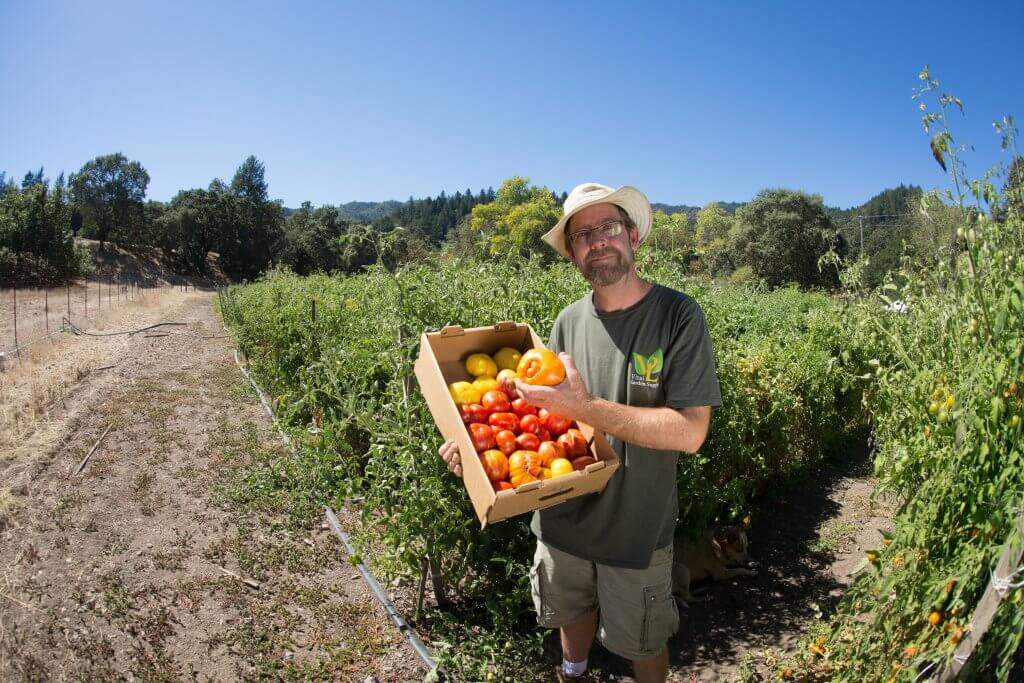 Brad Gates in field, box of tomatoes in arms