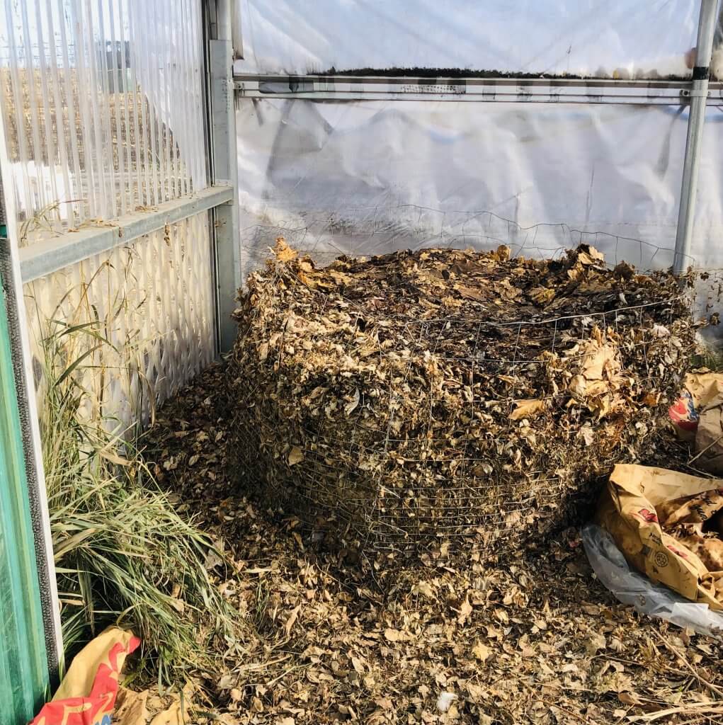 compost pile