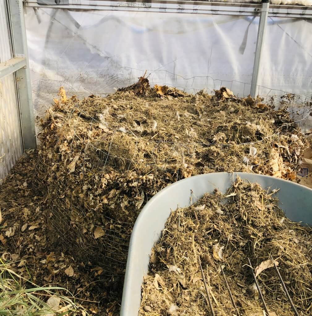 adding manure to compost pile