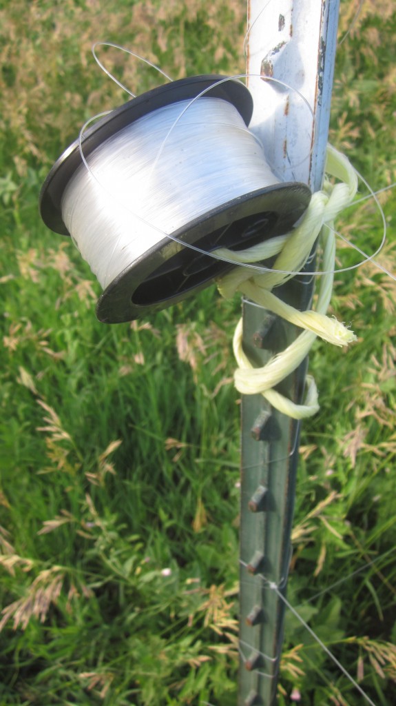 I keep my extra fishing line where I can grab it easily, tied to one of the t-posts in my deer fencing.