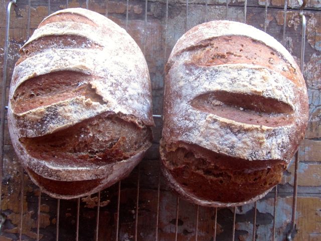 Mocha-Honey Rye bread: I'll share the recipe with you sometime soon: it's so gooooood!