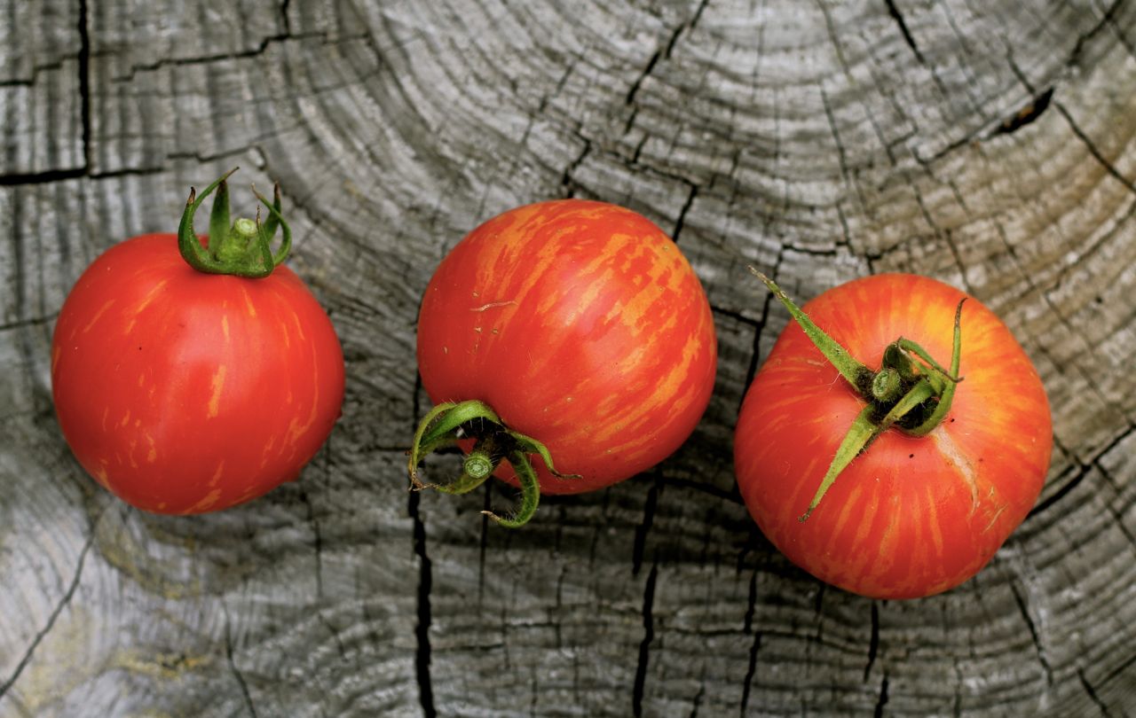 Heirloom tomatoes new favorites this year, fall 2015