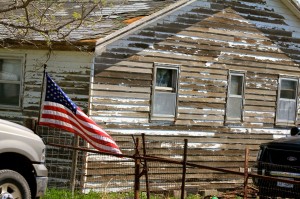 beaver vomitingchicken optimism