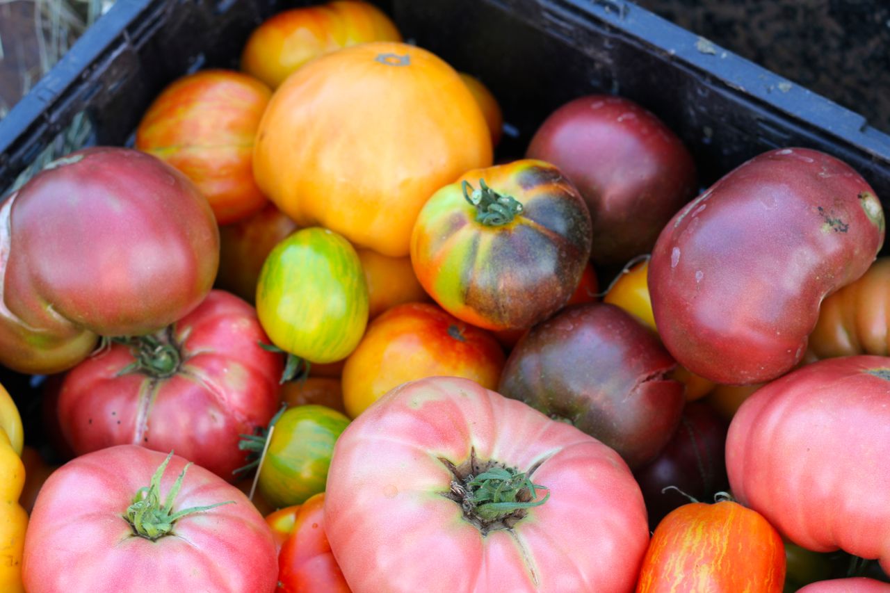 Too Many Tomatoes? Roundup of Recipes from my Kitchen