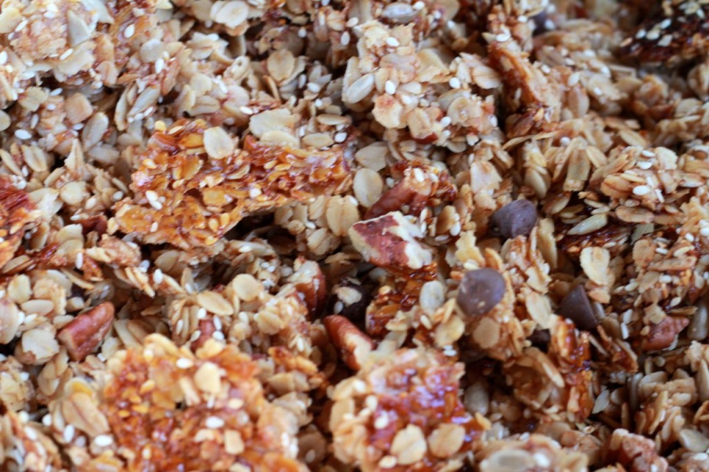 New type of granola: roasted pecan and chocolate chip. Ooo, it's goood.