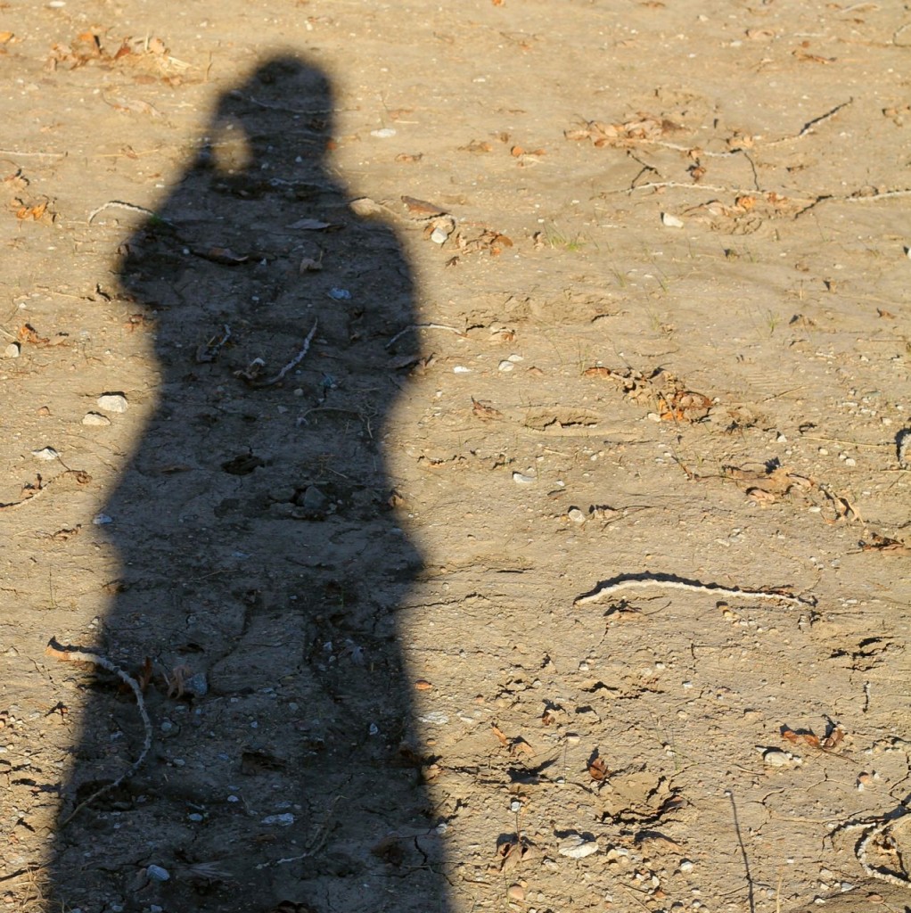 selfpshadow