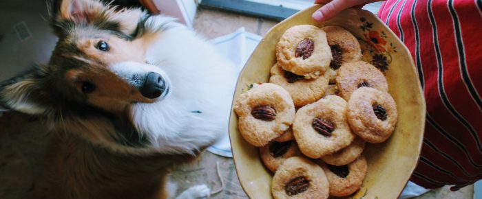 Why the Snickerdoodle is the perfect cookie: 8 reasons & a pecan addition Why the Snickerdoodle is the perfect cookie: 8 reasons & a pecan addition
