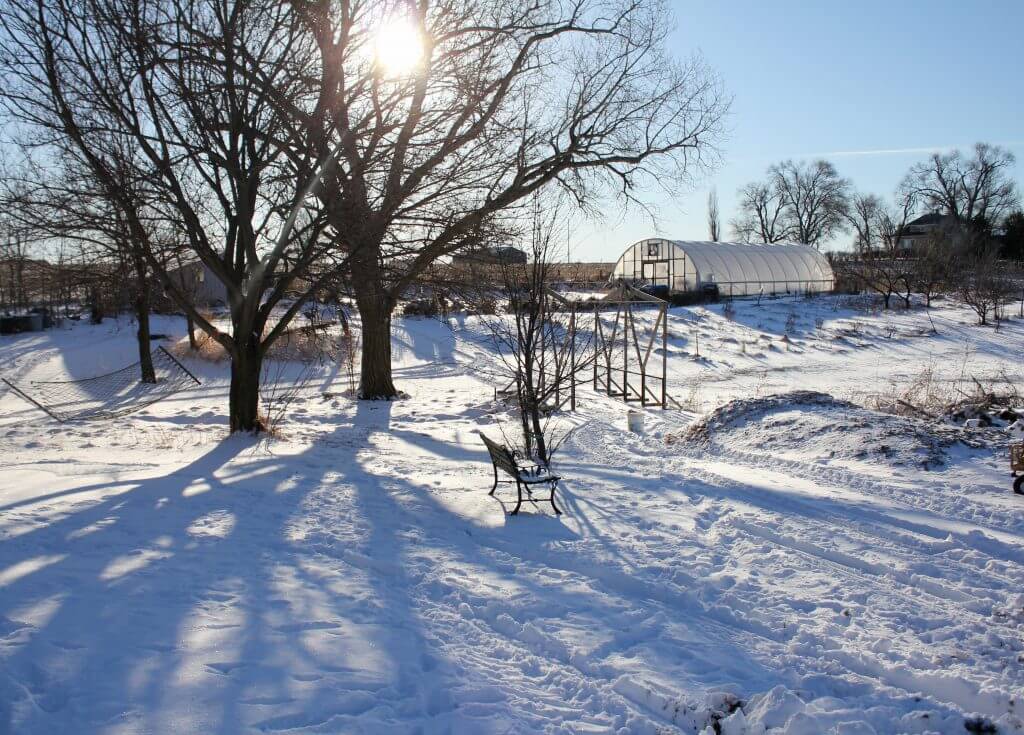 snowscape on farm in Nebraska