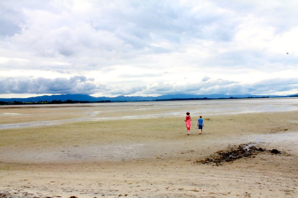 We like to walk here when the tide goes out, to see what sorts of shells and sea critters we can find.