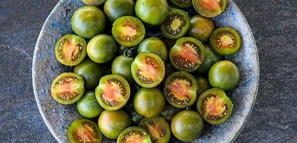 Heirloom tomatoes: 9 favorites I’ll grow again! An occasional analysis.