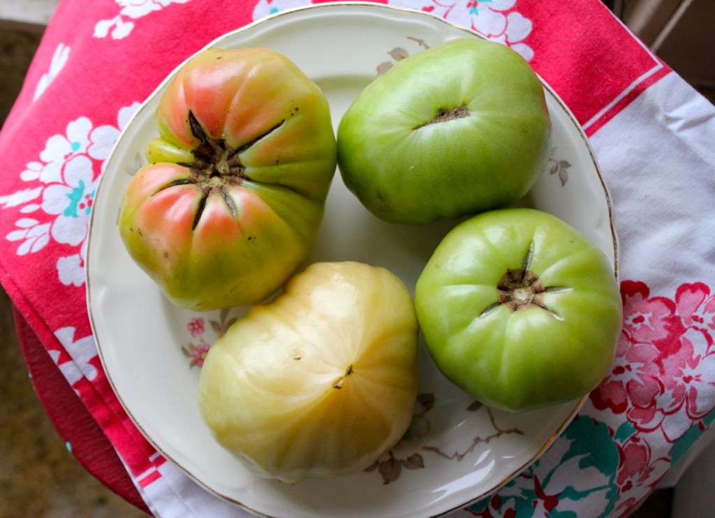 Fried Green Tomatoes a healthy, cleanedup recipe!