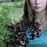 Treasure in the Ditches: Time to Forage for Wild Elderberries!
