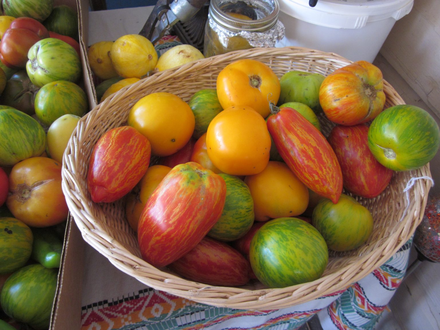 Make the Only Tomato Cages You'll Ever Need, in Minutes!