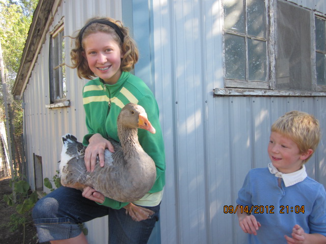 Here Amalia holds our lone goose, Lucy, and little Mack assesses how close he can safely get to her.