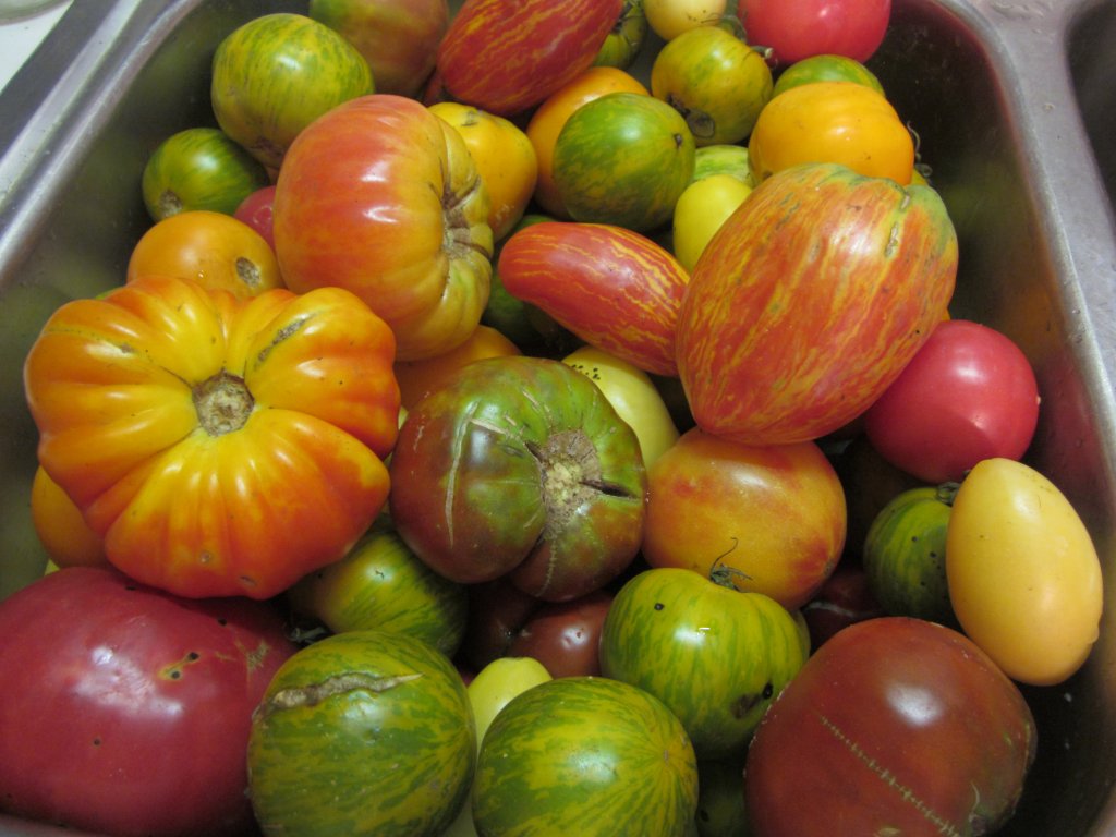 I only grow heirloom tomatoes