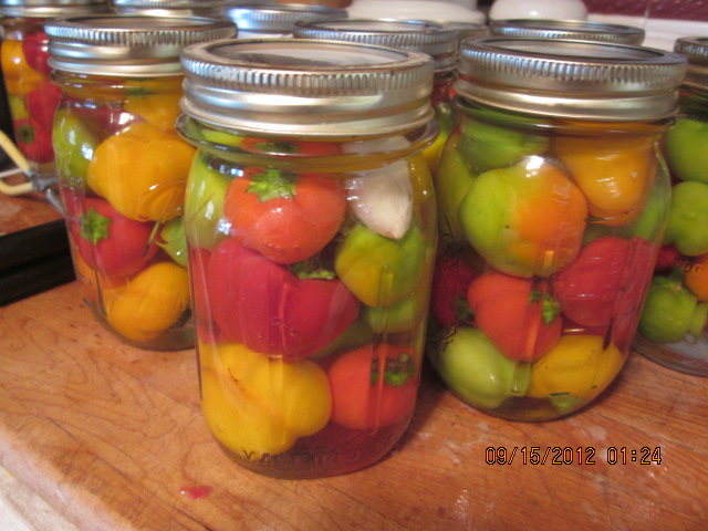 Pickling Peppers: a super-easy way to preserve your little peppers!