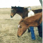 Chasing horses on your feet will get you absolutely nowhere