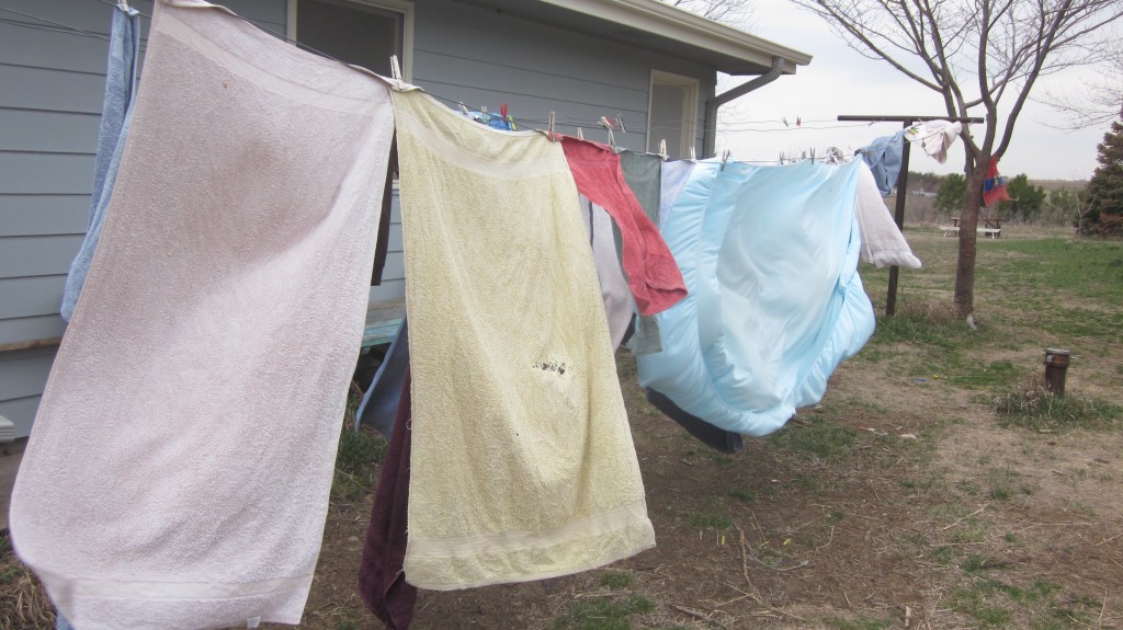 Clothes snapping on the line in the spring breeze is always a delight to see.
