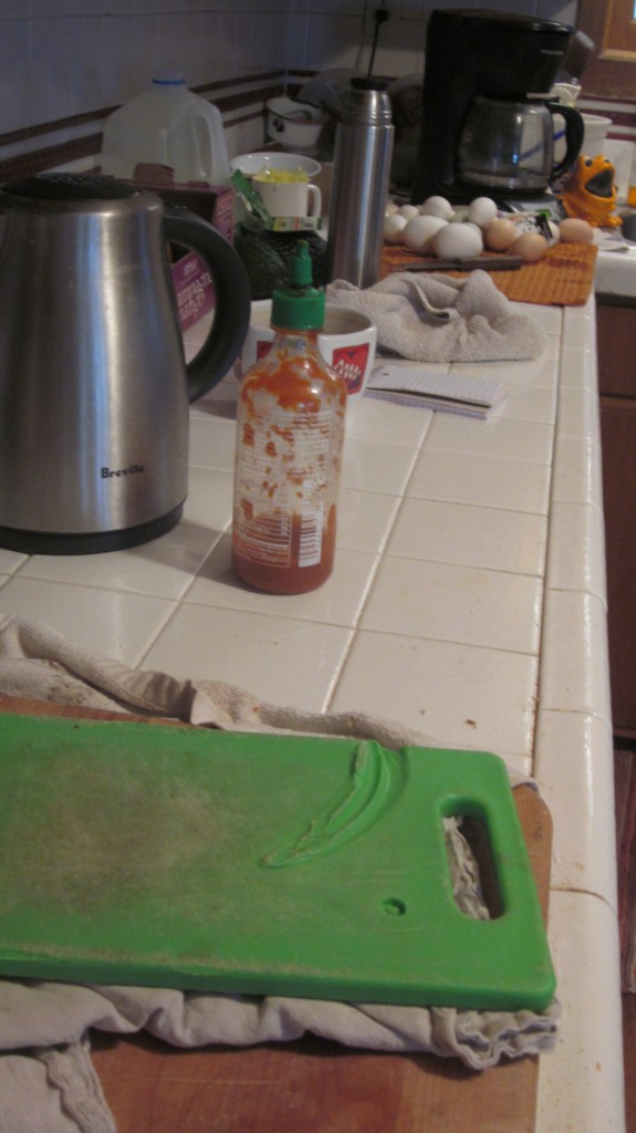 Here is my kitchen counter this morning: look closely and you'll see amidst the clutter:  washed eggs, a used toothbrush, dirty rags, a thermos, a near-empty bottle of hot sauce, an old coconut, dirty knives, a bill, an Aprons sticker, a dirty coffeepot.