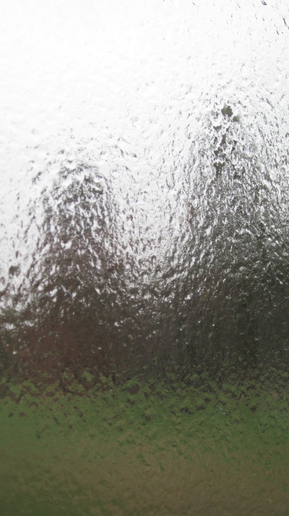 It is mid-April and we are in a winter storm warning.  This is ice coating our windows.  We are entombed in ice.
