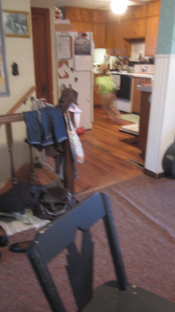 That green blur in the kitchen is my son, running away from the school room and screaming.  He really didn't want to do his handwriting practice.  (He did return later and do it.)