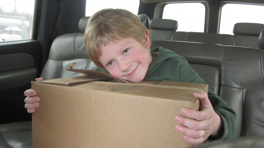 Little Mack is all smiles and he holds the boxful of chicks on the way home.