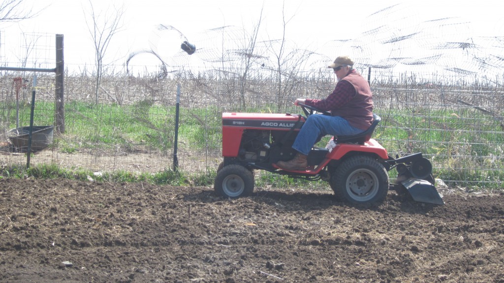 My dad does me this favor every spring, of tilling up my garden until it's smooth and stirred and ready for planting