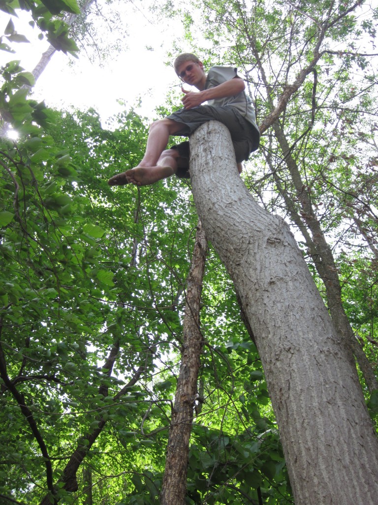Timothy got bored with the hunt for fungus and did what he does when he's bored:  he started climbing.