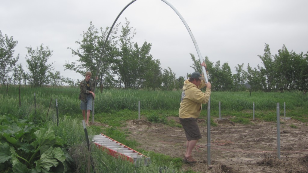 Hoophouse Phase 2