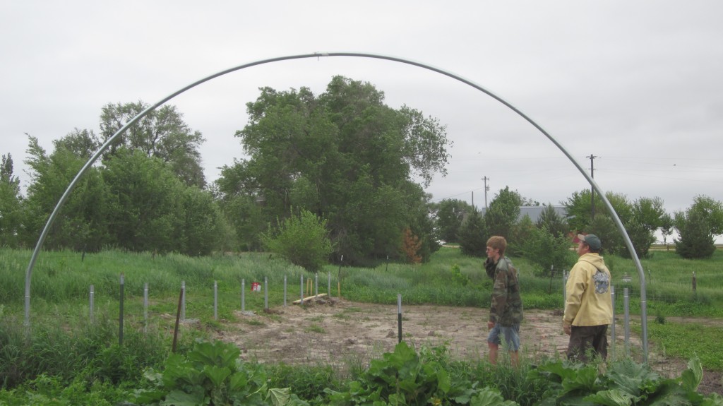 Hoophouse Phase 2