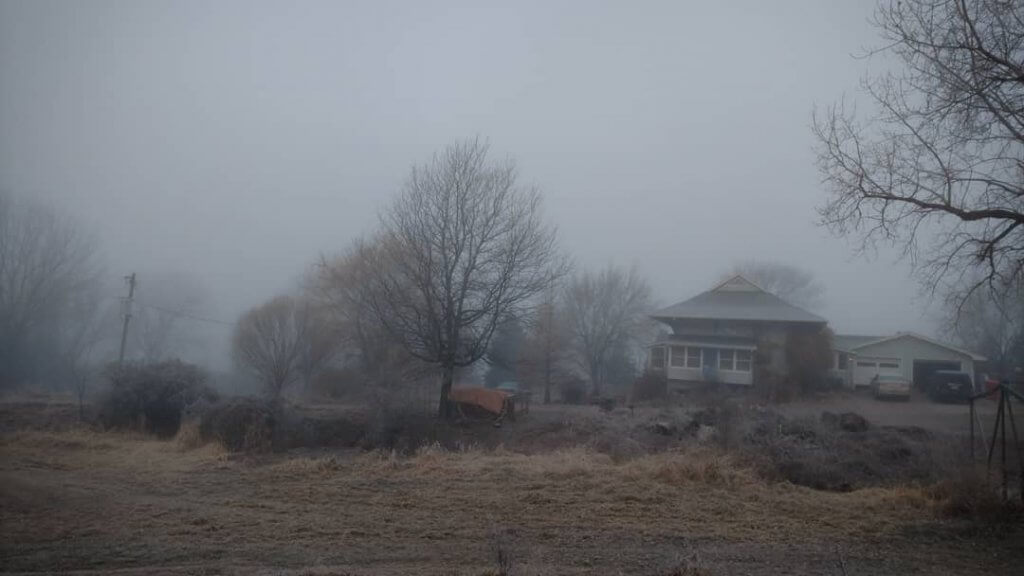 grey landscape with house