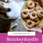 Why the Snickerdoodle is the perfect cookie: 8 reasons & a pecan addition