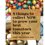 8 things to collect NOW before you plant your tomatoes