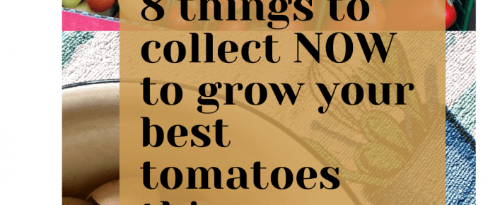 8 things to collect NOW before you plant your tomatoes