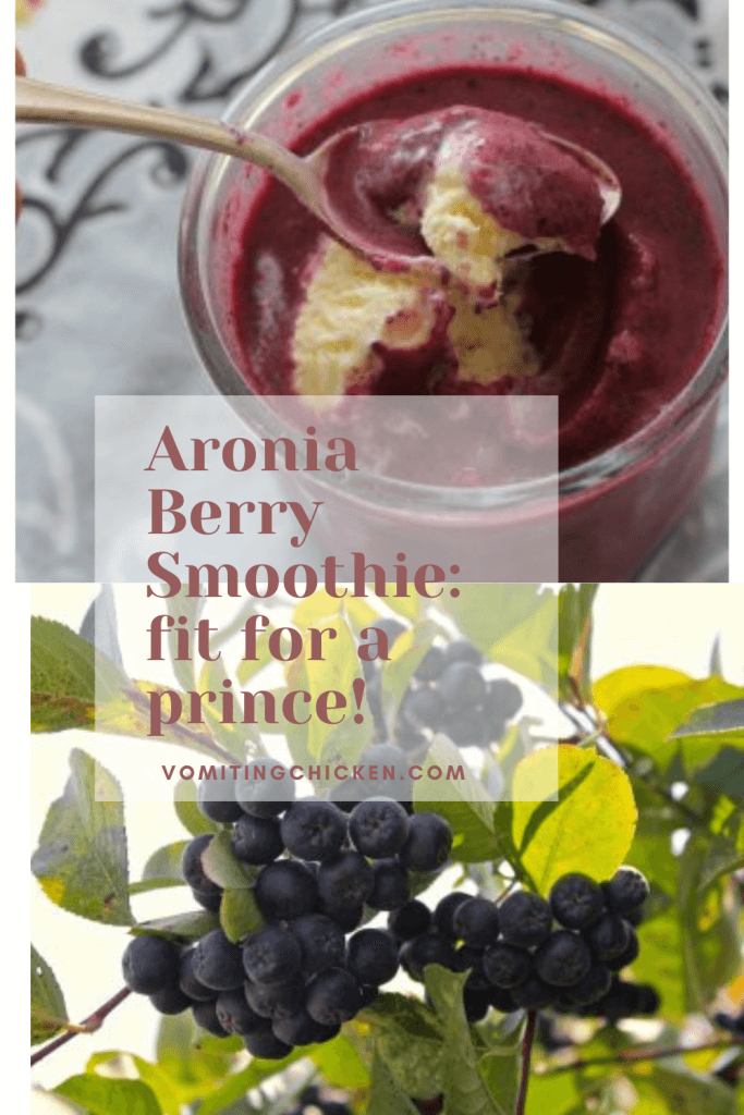aronia berry smoothie in glass with spoon, and clump of aronia berries