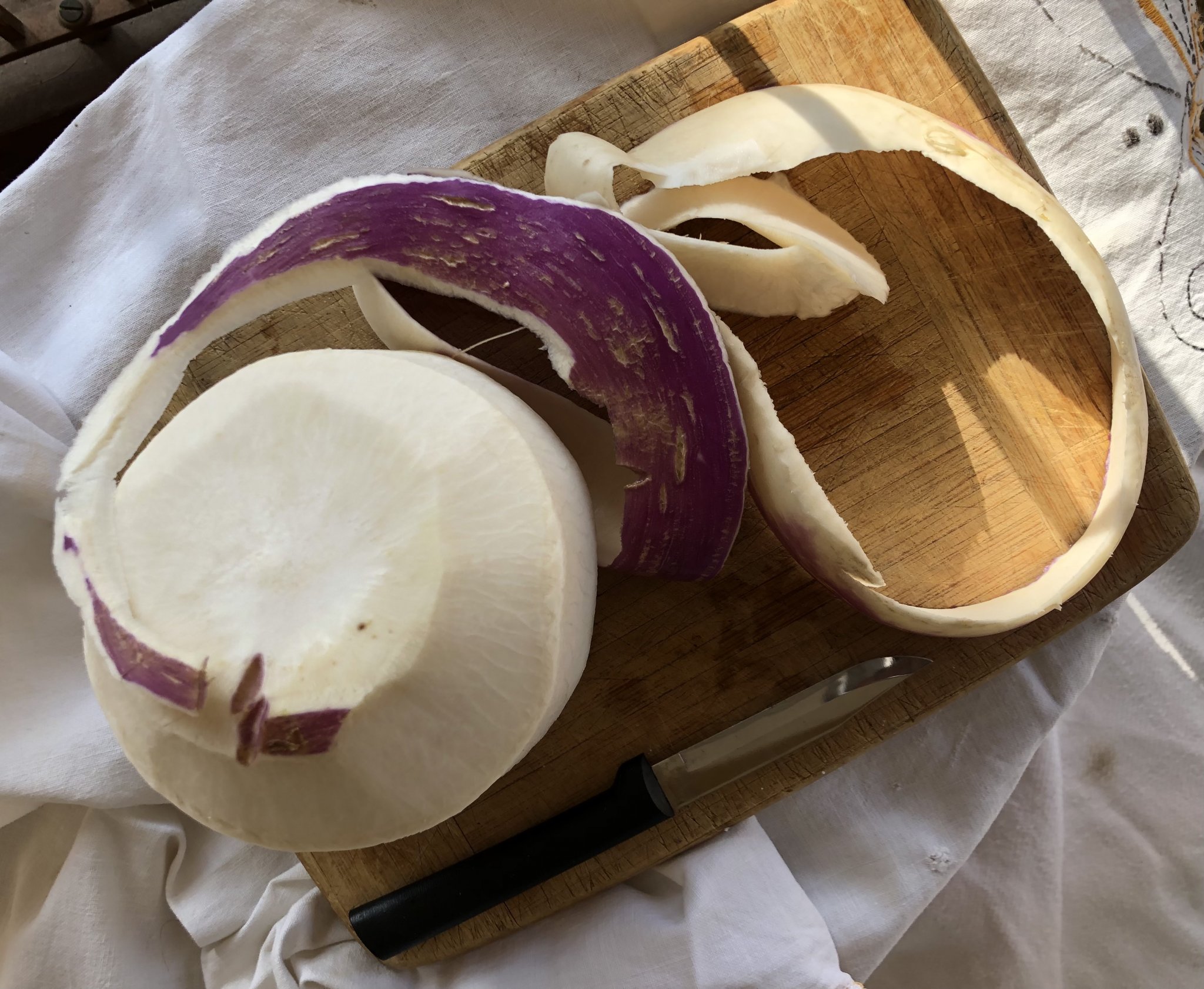 Raw Turnip Salad a foraging recipe