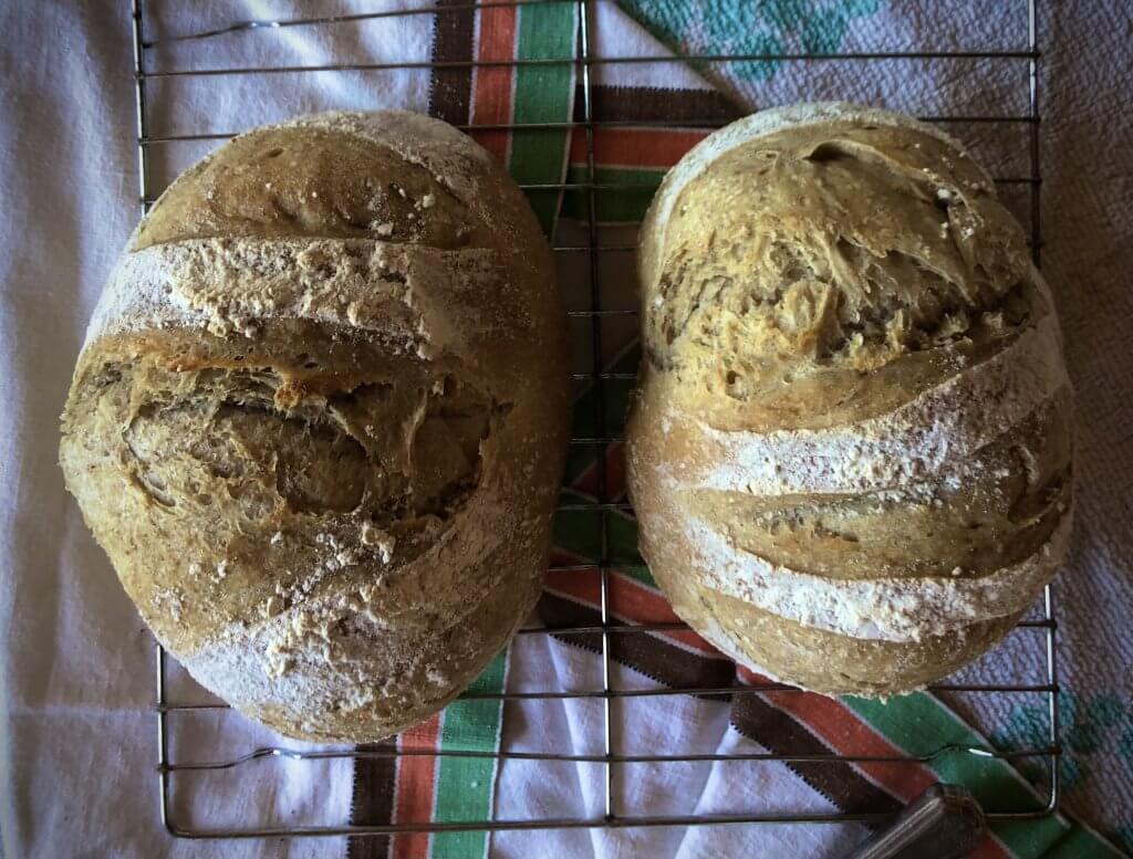 two loaves of artisan bread on cooling rack