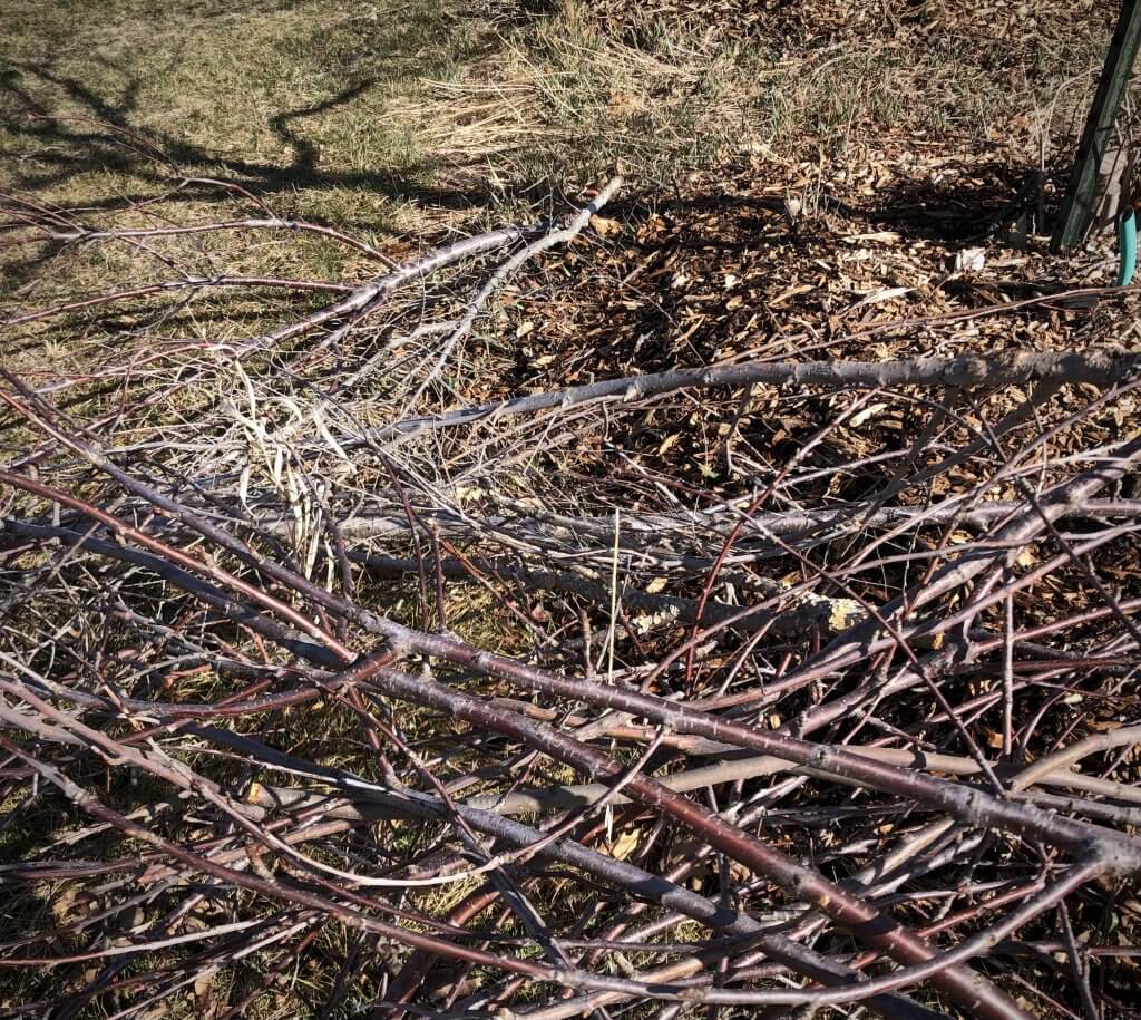 pile of sticks