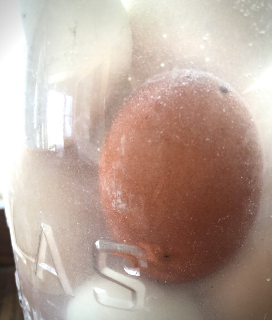 eggs in water glassed solution