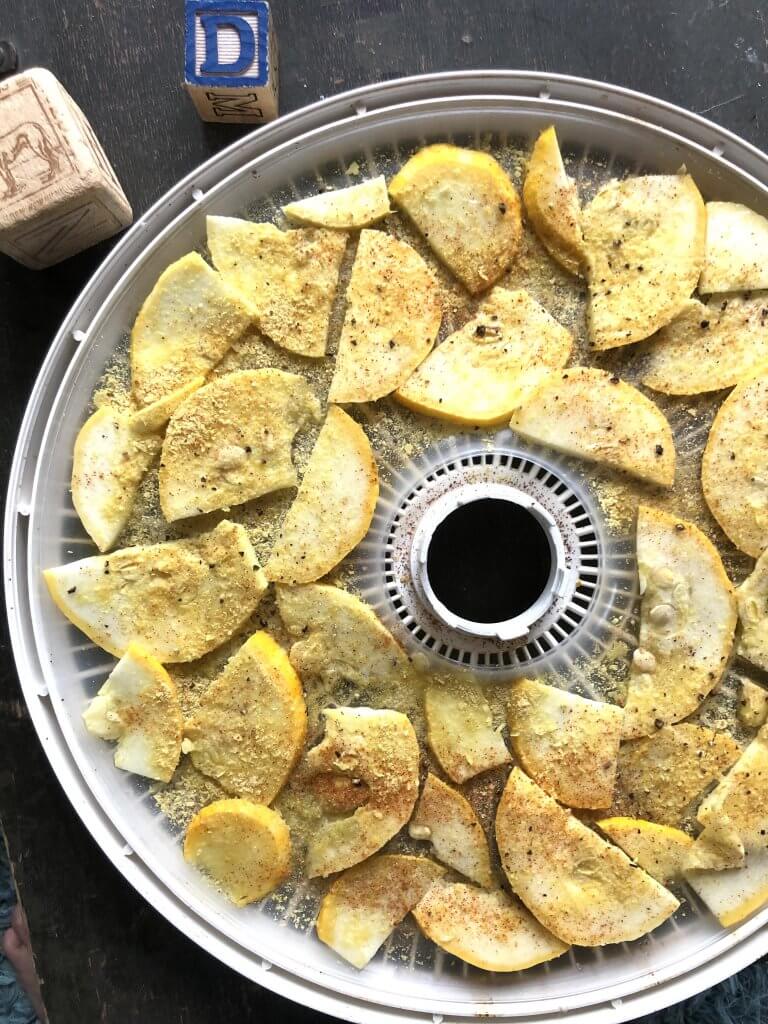 dehydrator tray filled with seasoned summer squash slices