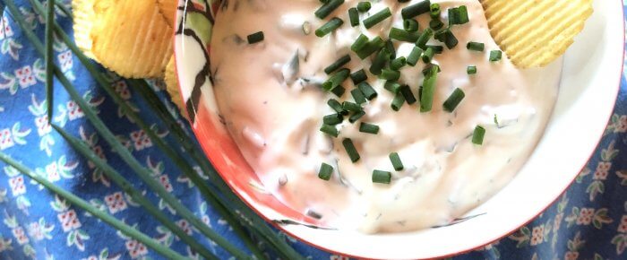 Easy Herby Dip Recipe: great on everything!